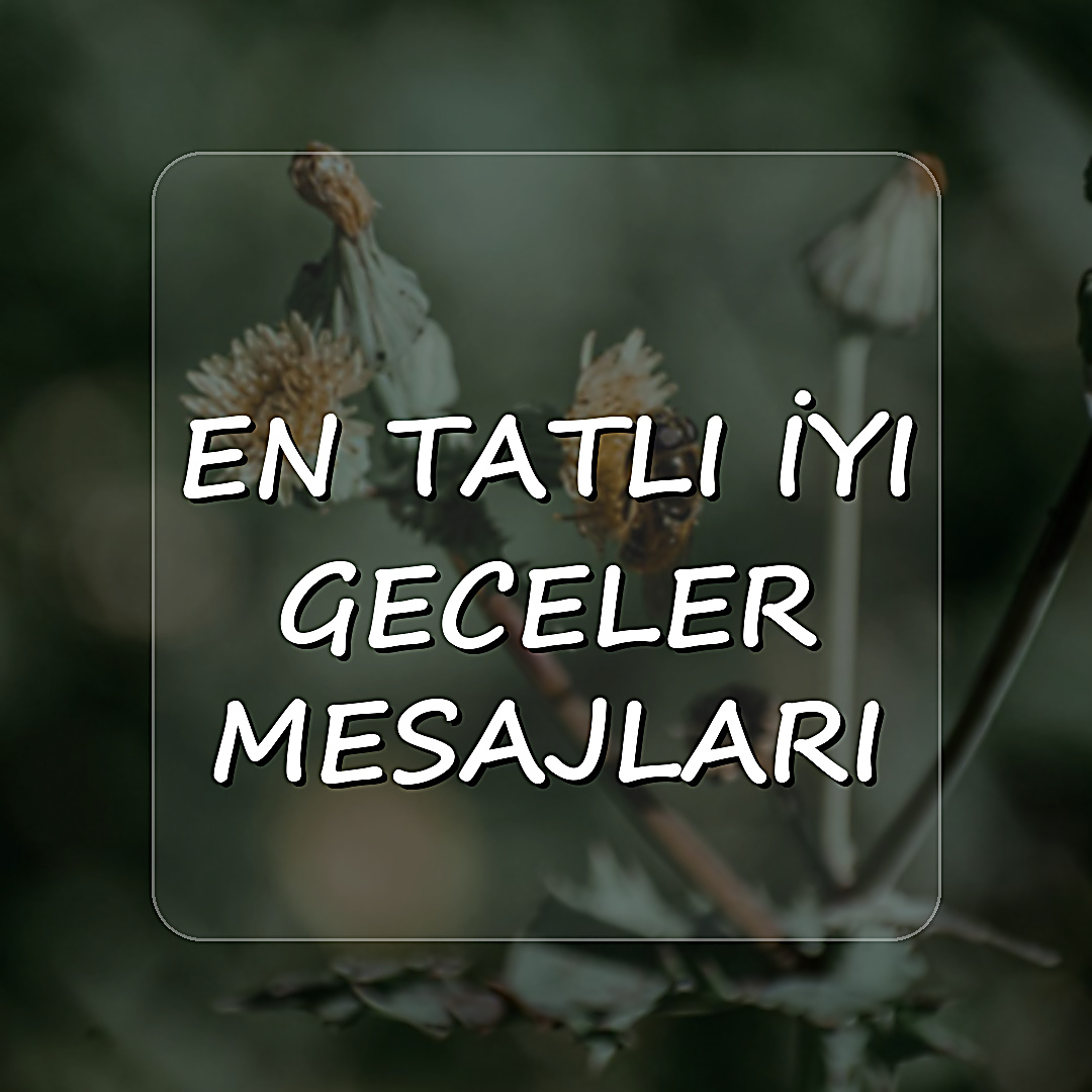 En Tatlı İyi Geceler Mesajları - 2026