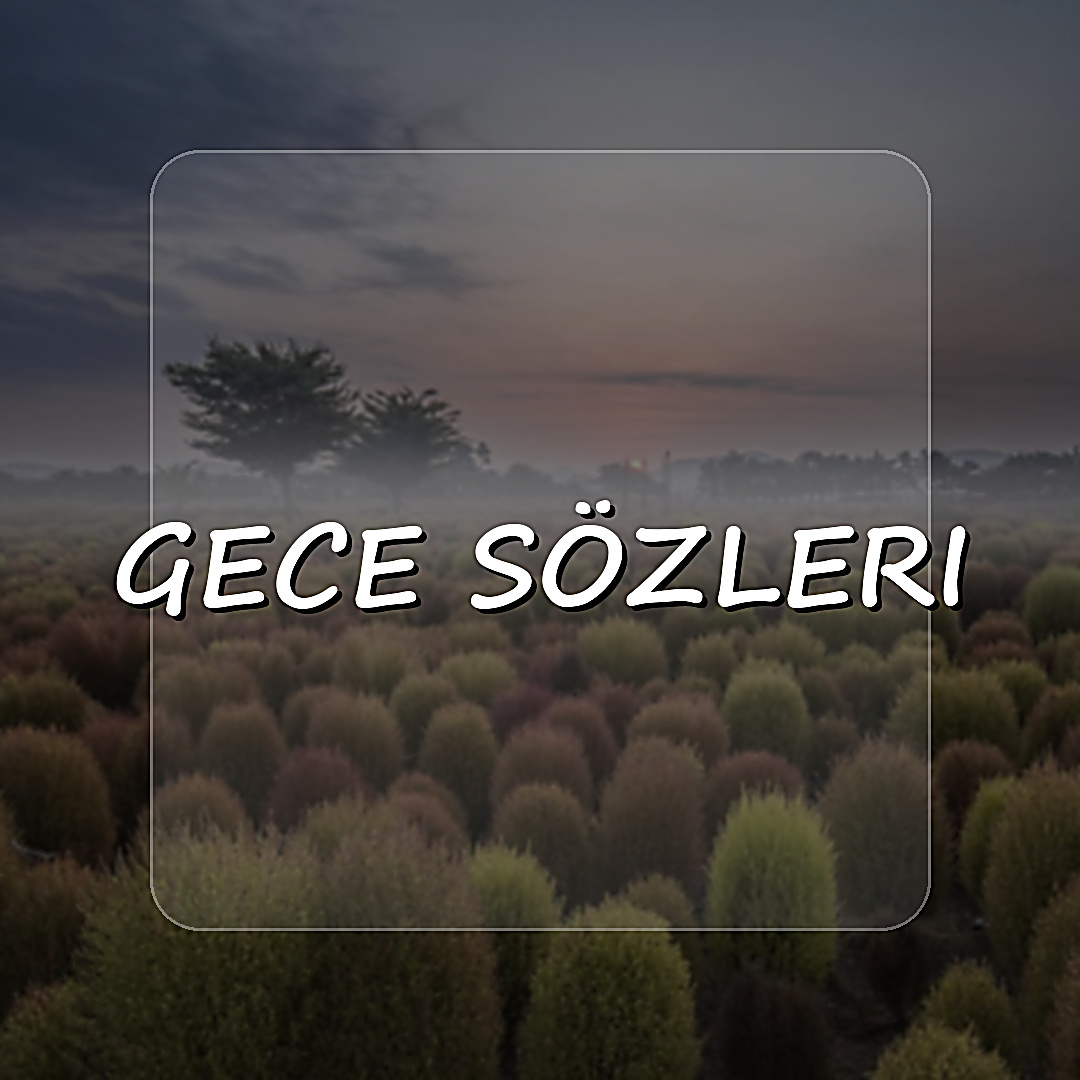 gece sözleri - 2026