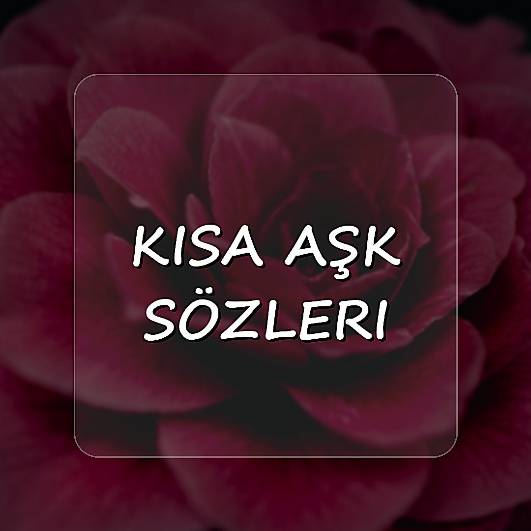kısa aşk sözleri - 2026