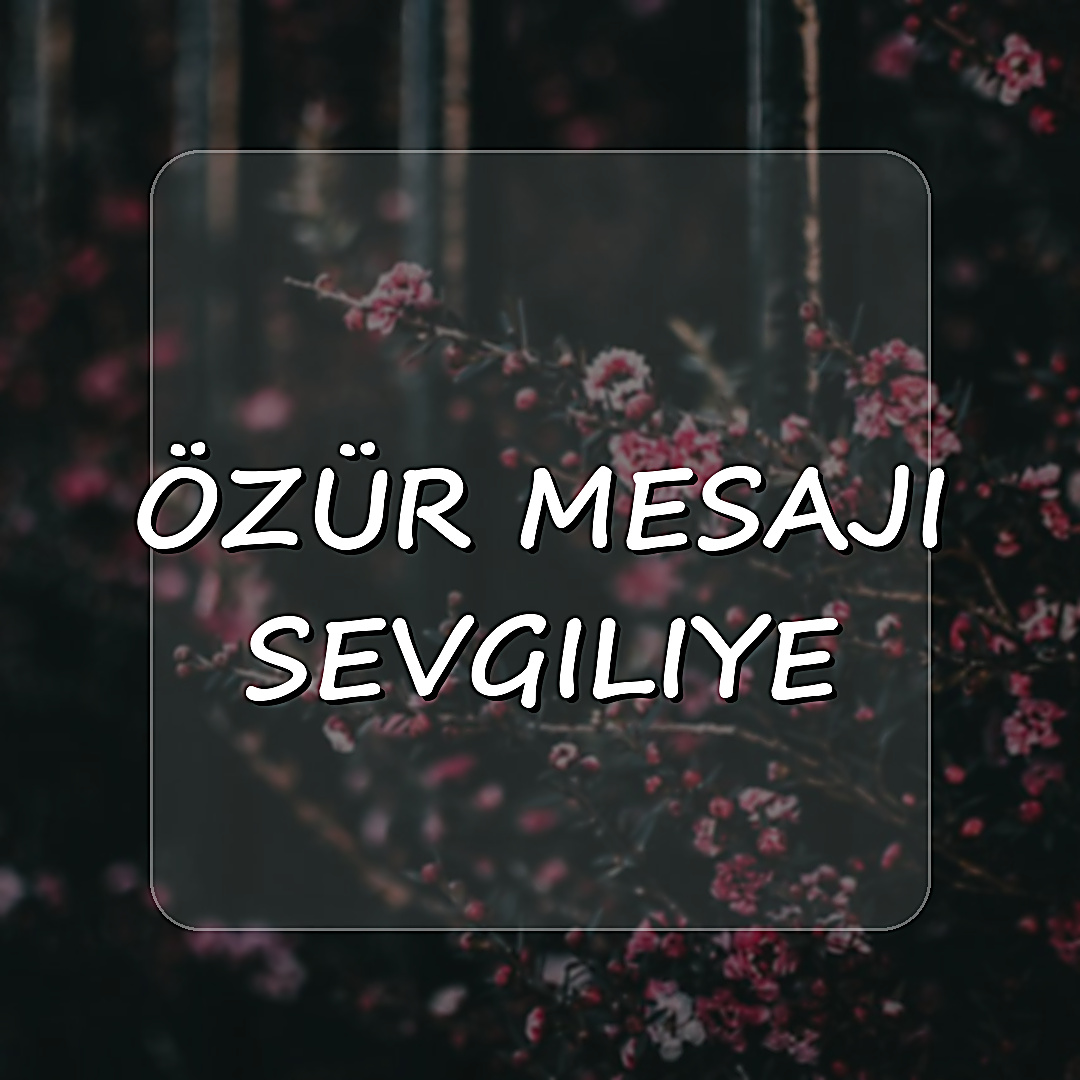 özür mesajı sevgiliye - 2026