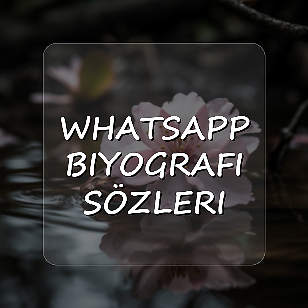 whatsapp biyografi sözleri - 2026